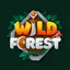 Wild Forest (와일드 포레스트) logo