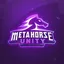 Metahorse Unity (메타호스 유니티) logo