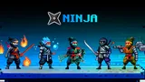 xNinja cover