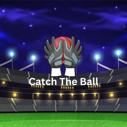 Catch The Ball Game 
