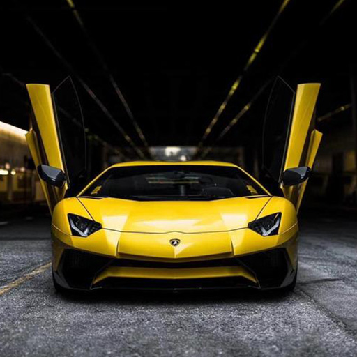 LamborghiniParking3 Game