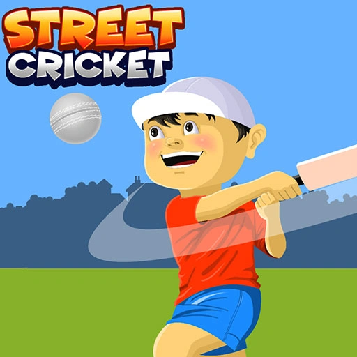 Street Cricket Game