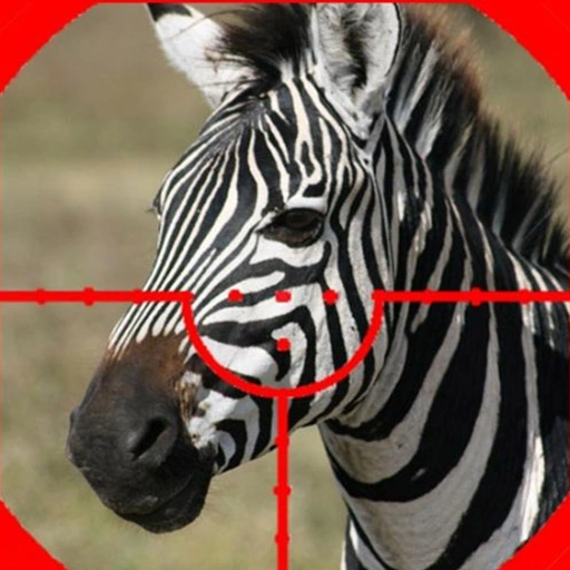 ZEBRA HUNTER SNIPER SHOOTING GAME
